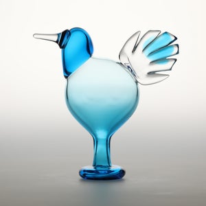 Birds Ano ターコイズ 0344