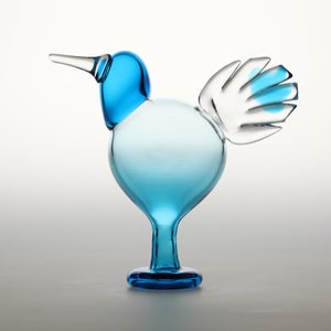 Birds Ano ターコイズ 0346