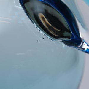 Birds Ano ターコイズ 0054