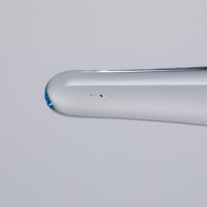 Birds Ano ターコイズ 0119