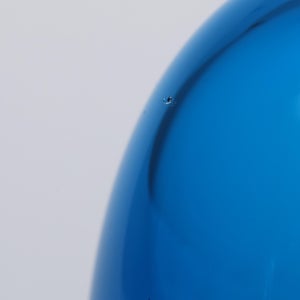 Birds Ano ターコイズ 0142