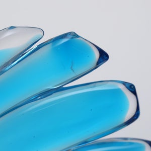 Birds Ano ターコイズ 0145