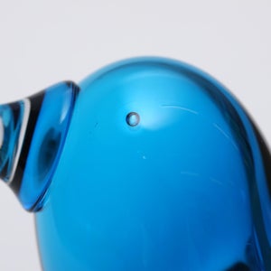 Birds Ano ターコイズ 0168