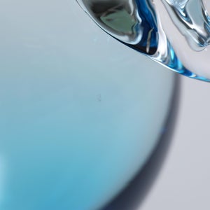 Birds Ano ターコイズ 0192