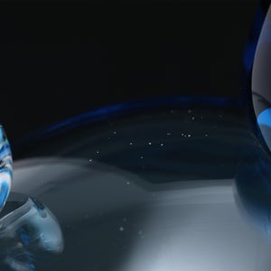 Birds Ano ターコイズ 0199