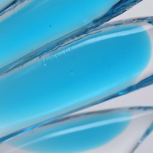 Birds Ano ターコイズ 0207