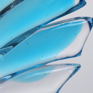 Birds Ano ターコイズ 0229