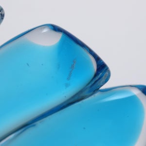 Birds Ano ターコイズ 0242