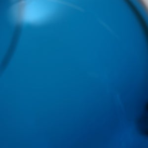 Birds Ano ターコイズ 0282