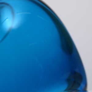 Birds Ano ターコイズ 0290