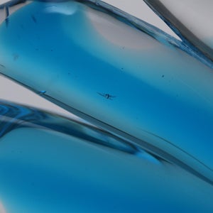 Birds Ano ターコイズ 0293