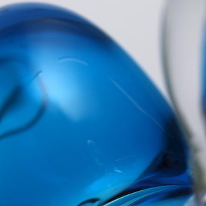 Birds Ano ターコイズ 0351