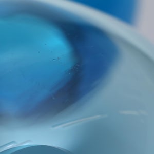 Birds Ano ターコイズ 0168