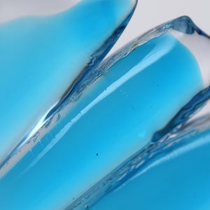 Birds Ano ターコイズ 0207