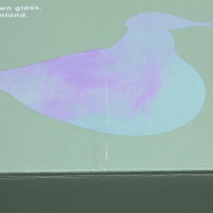 Birds Ano ターコイズ 0306