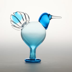 Birds Ano ターコイズ 0029