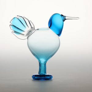 Birds Ano ターコイズ 0051