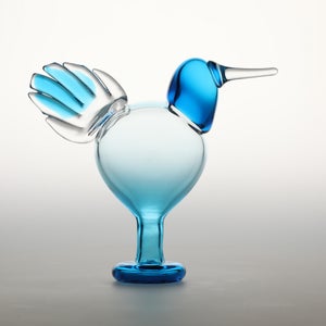 Birds Ano ターコイズ 0061