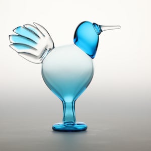 Birds Ano ターコイズ 0144