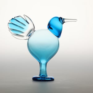 Birds Ano ターコイズ 0159