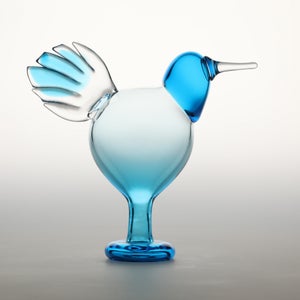 Birds Ano ターコイズ 0165