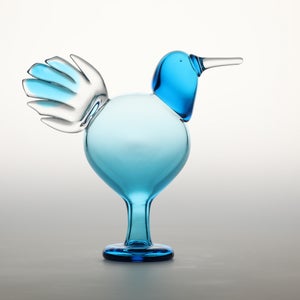 Birds Ano ターコイズ 0168