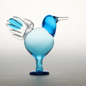 Birds Ano ターコイズ 0176