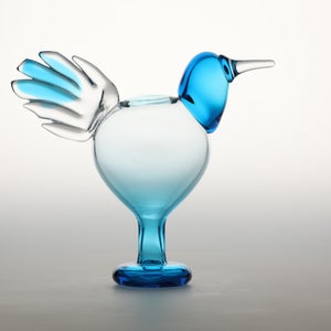 Birds Ano ターコイズ 0187