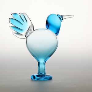 Birds Ano ターコイズ 0197