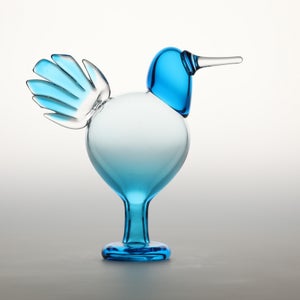 Birds Ano ターコイズ 0199