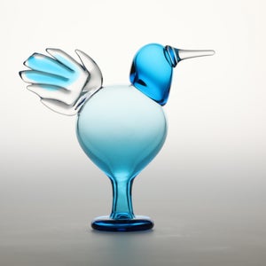 Birds Ano ターコイズ 0212