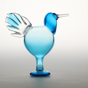 Birds Ano ターコイズ 0220