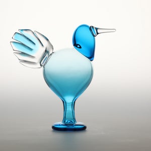 Birds Ano ターコイズ 0229