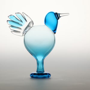 Birds Ano ターコイズ 0241