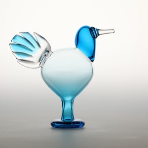 Birds Ano ターコイズ 0244