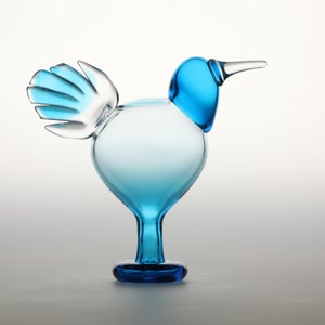 Birds Ano ターコイズ 0265