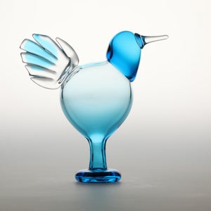 Birds Ano ターコイズ 0272