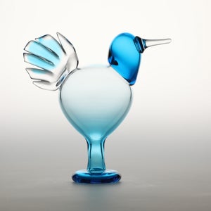 Birds Ano ターコイズ 0296