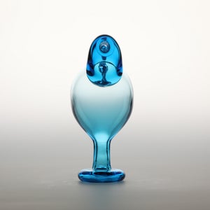 Birds Ano ターコイズ 0029