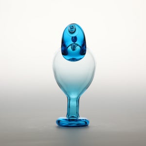 Birds Ano ターコイズ 0095