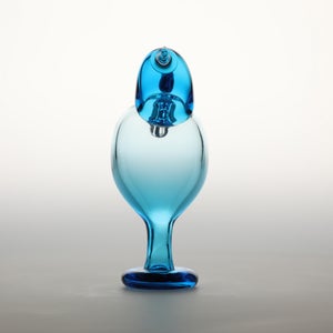 Birds Ano ターコイズ 0251