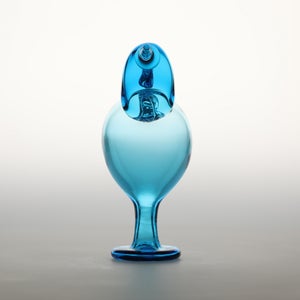 Birds Ano ターコイズ 0352