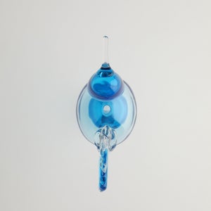 Birds Ano ターコイズ 0055