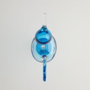 Birds Ano ターコイズ 0264