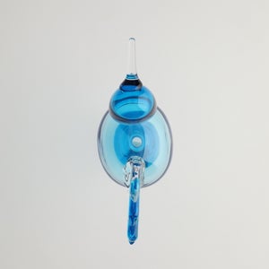 Birds Ano ターコイズ 0325