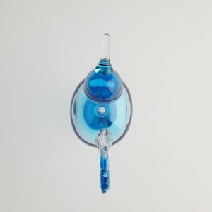 Birds Ano ターコイズ 0351