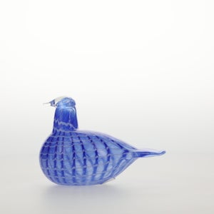 Birds Blue Bird 0770