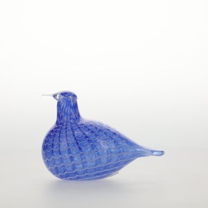 Birds Blue Bird 0773