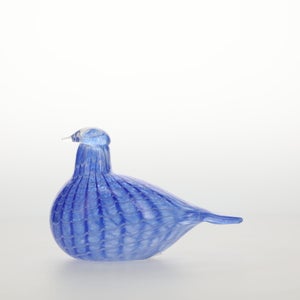 Birds Blue Bird 0776