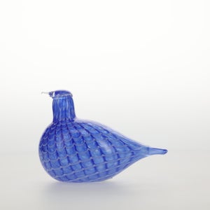 Birds Blue Bird 0785